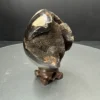 Septeryan Yumurta Obje