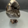 Septeryan Yumurta Obje