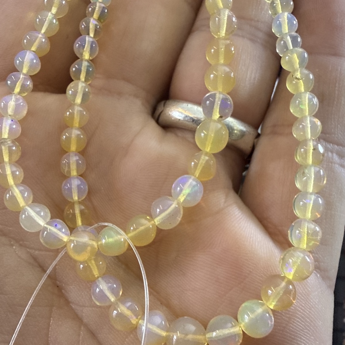 Opal A+ Dizi 4 mm